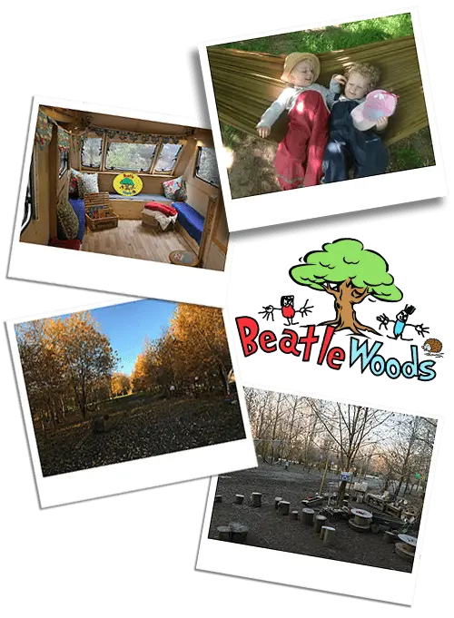 Beatle Woods Gallery Beatle Woods Gallery
