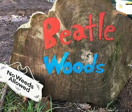 About Beatle Woods About Beatle Woods