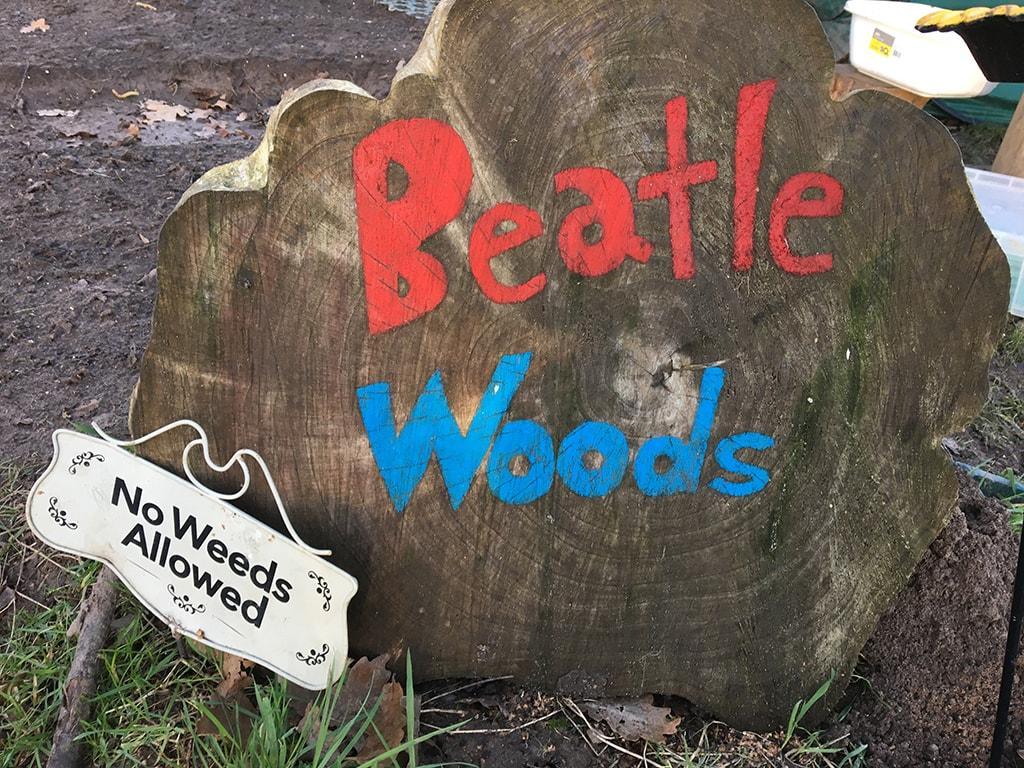 Beatle Woods