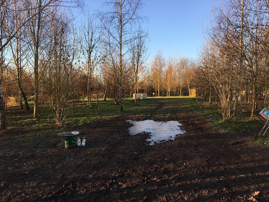Beatle Woods Outdoor Nursery